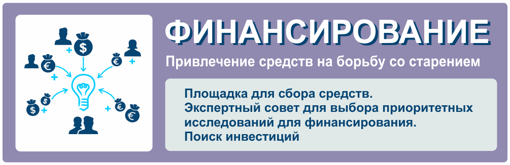 Борьба со старением в 21 веке проект по биологии